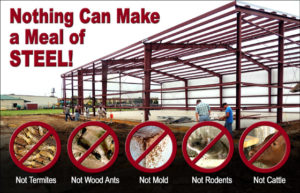 Nothing can make a meal of a metal barn kit, not termites, wood ants, rodents, mold or even cattle.