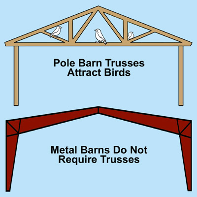 Illustrations show why pole barn rafters attract birds and metal barn rafters do not