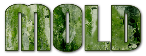 The word "mold" covered in nasty dripping green mold