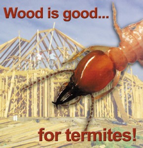 Wood structure under construction with huge termite in the foreground and the heading: Wood is Good for Termites!