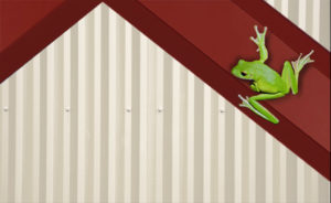 Red-iron steel framing against with a green frog on it, representing the eco-friendly nature of recycled steel.