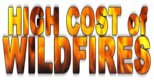 Text that looks aflame and reads: High Cost of Wildfires