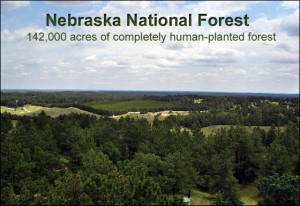 Arial photo of the Nebraska National Forest- 142,000 acres of completely human-planted forest