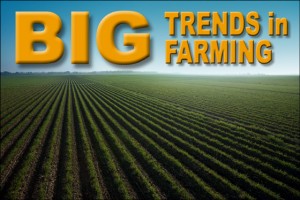 Rows of green crops under vibrant blue sky with text that reads "Big Trends in Farming"