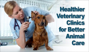 Photo of vet examining a dachshund's ear with the headline "Healthier Vet Clinics for Better Animal Care"