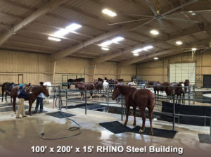 Huge equestrian rehab center includes 15' high walls and skylights.
