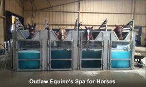 Horses stand in whirlpool baths at this horse barn spa in Texas.