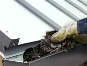 photo of a person cleaning debris from a metal building gutter.
