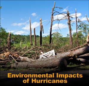 Broken and downed trees litter the landscape with the caption "Environmental Impacts of Hurricanes"