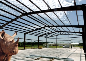 A rhino stands beneath the steel framing of an industrial warehouse under brilliant blue skies