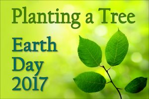Vibrant green leaves over sunny foliage background with the text "planting a Tree: Eart Day 2017"