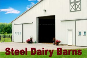 Large white metal barn with gray trim and the text "Steel Dairy Barns"