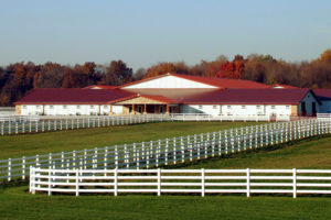 Photo of a massive horse stable built with a RHINO pre-engineered steel building.
