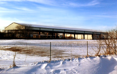 Photo of covered open-air horse arena on a snowy day.